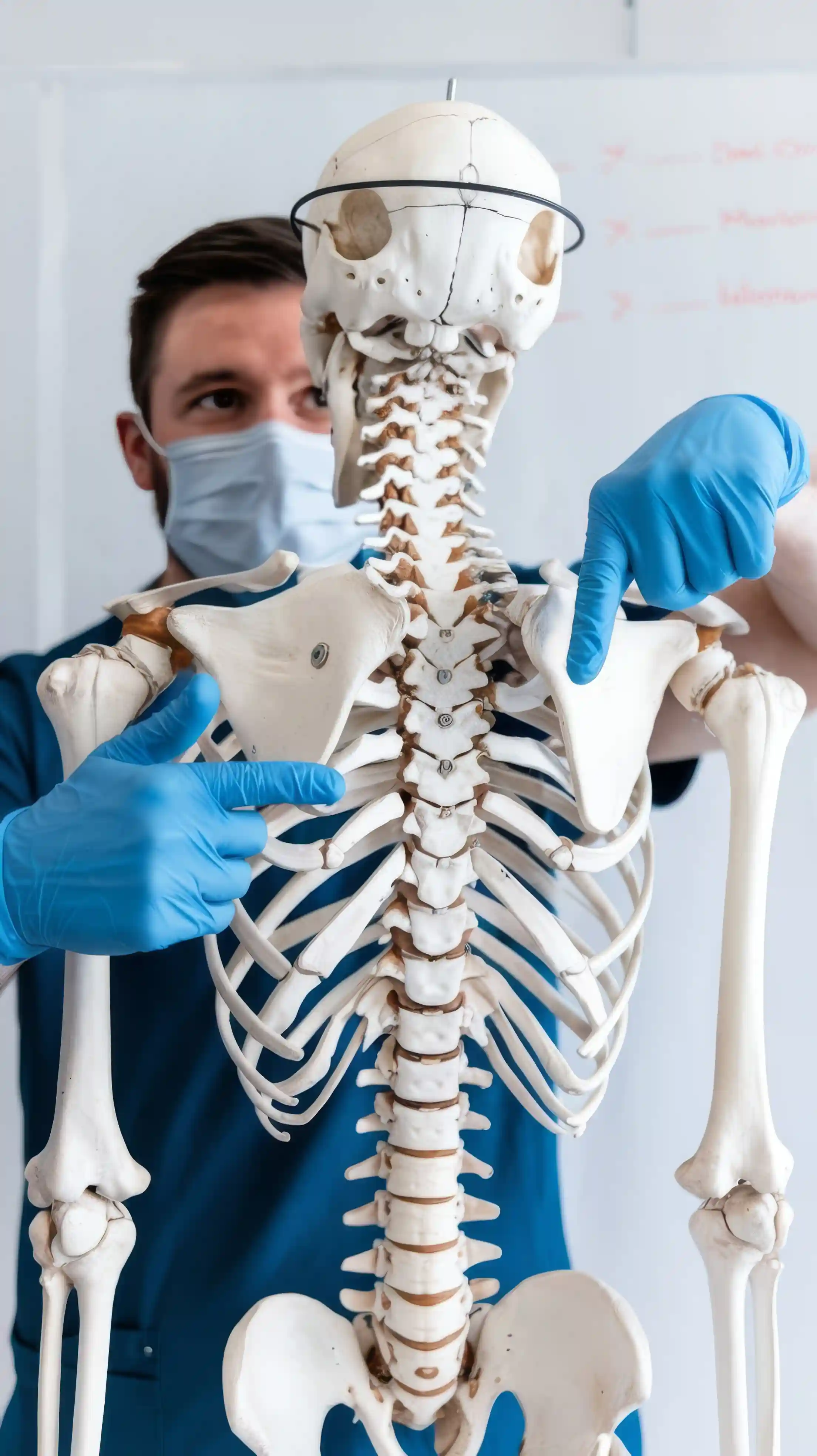Spine Care