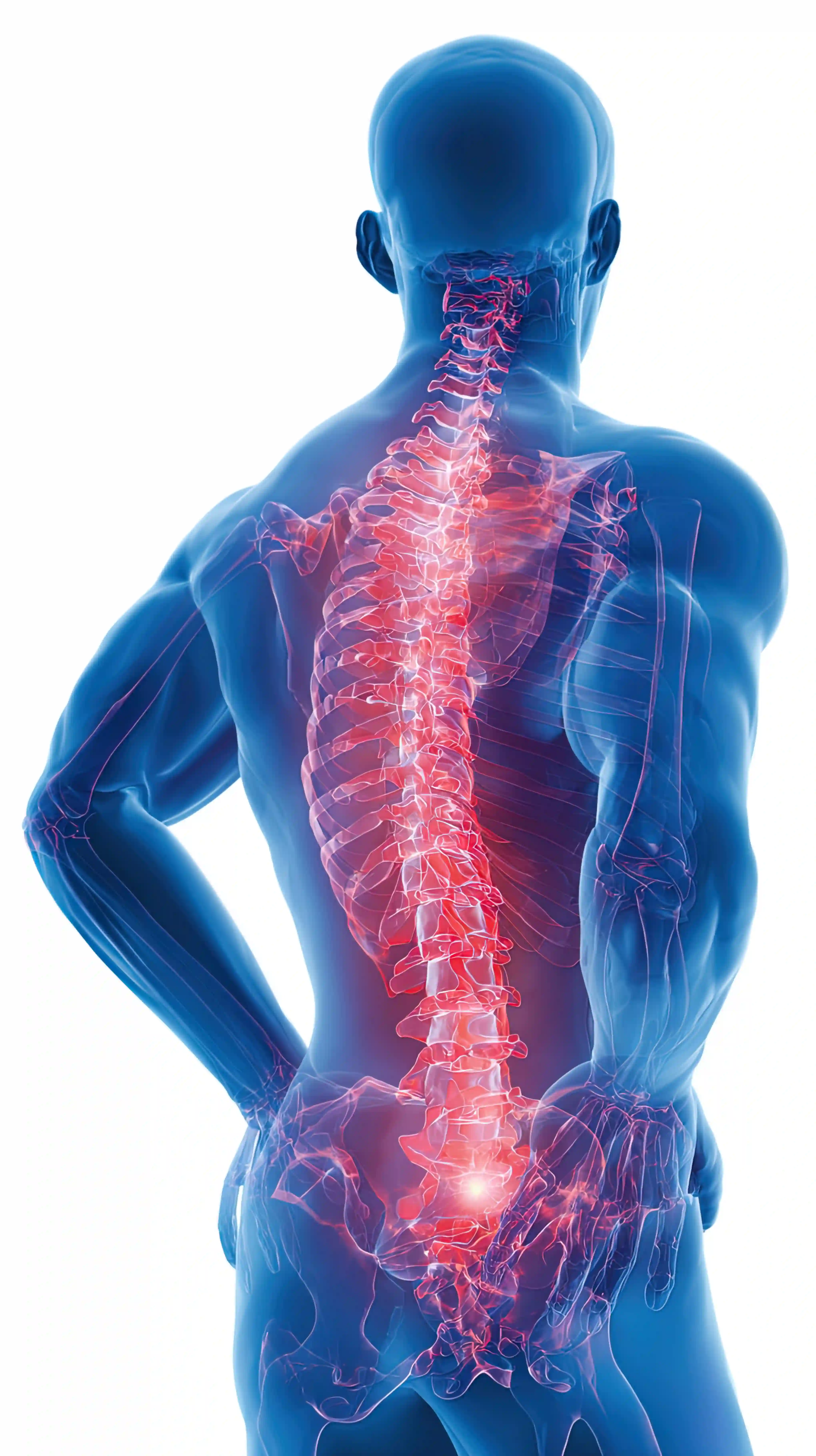 Spine Infections & TB Spine